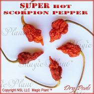 Dried Trinidad Scorpion Pepper